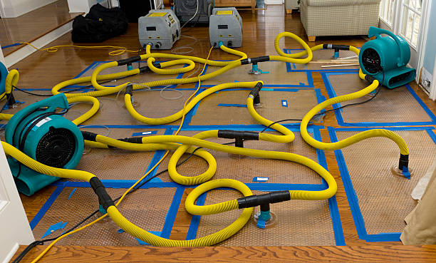 Professional Basement Flood Cleanup technician working in Council Bluffs, IA